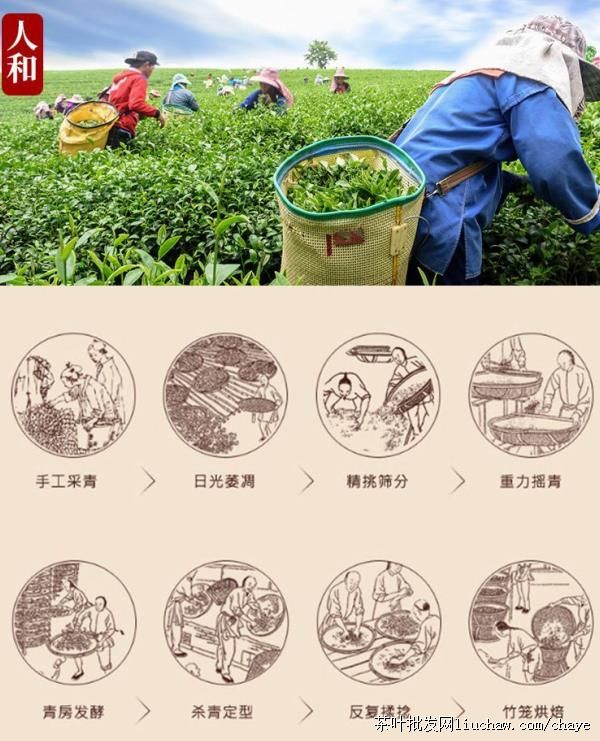 chayet02�²� ������ ��װ/���װ500g ����