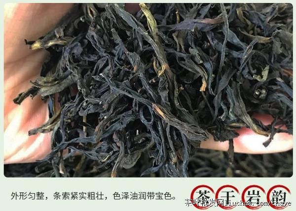 chayed07������Ҳ� 500g̼���Ҷ��������ɽ ��ɽ������ ����