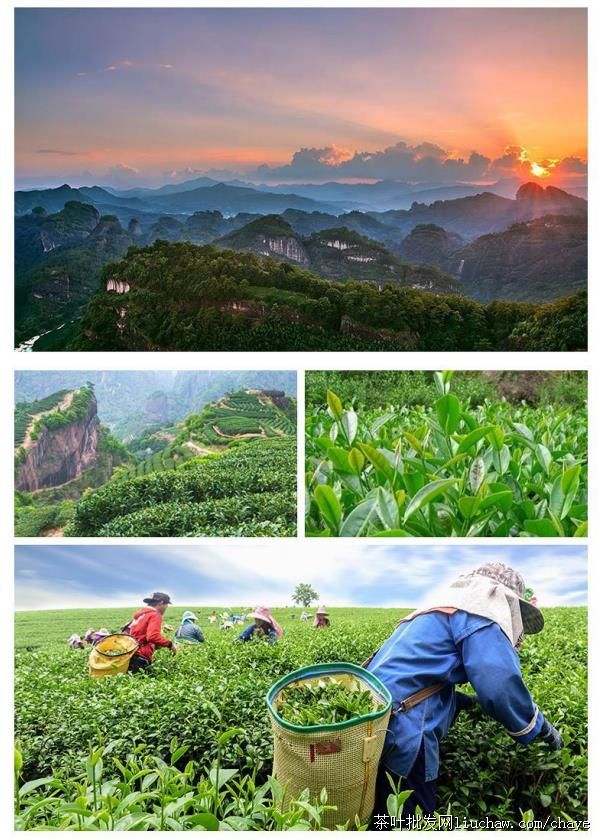 d05��������ɽ ��ɽ������Ҳ� ���װ/�� ��90Ԫ