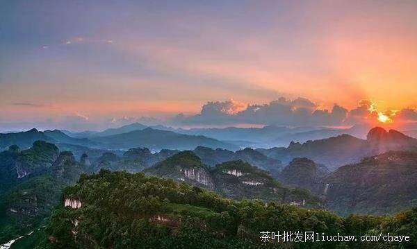 chayed04�²�Ũ���� ̼������� ��װ/���װ500g ����