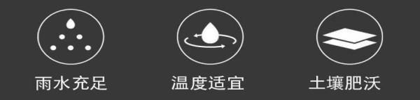 chayed04�²�Ũ���� ̼������� ��װ/���װ500g ����