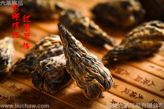 ��챦�� һͰһ��240Ԫ