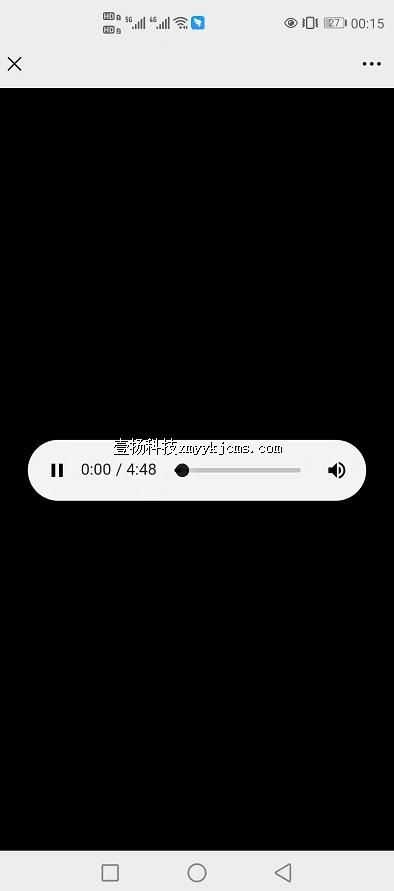 ayy01 �����嵥 ��100Ԫ ����200Ԫ