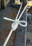 ����̶�����