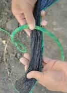 ���ⳣ����������-�Ľǹ̶���