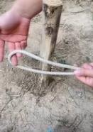 ���ⳣ����������-̧�ܽ�