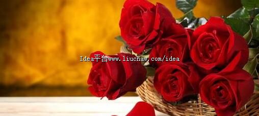 玫瑰花保存小妙招