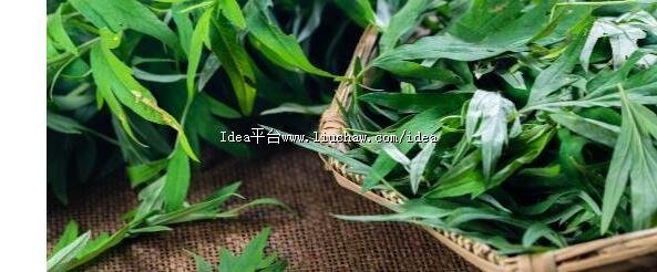 ����Ҷ�ҵ����湦Ч ��ȷʹ���ܰ����˿�ֹѪ