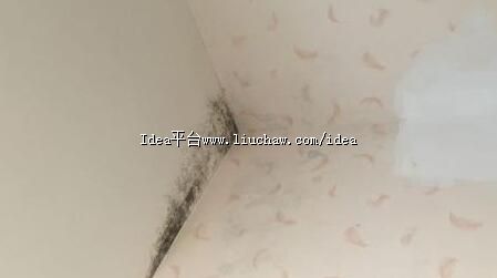 �����⼸�� ����Ҳ����Ϊǽ�巢ù��������