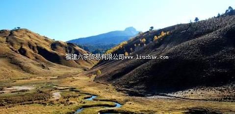 ���������Ͼ�ɽ��������8��ͽ����Խ��·�Ƽ�.