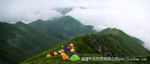 �����µĿ��л�԰ С��̨����ͽ����·.