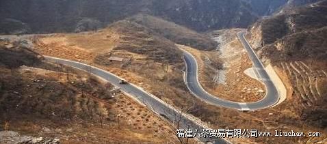 夏季单车出行慎防的几个问题慎防脚抽筋