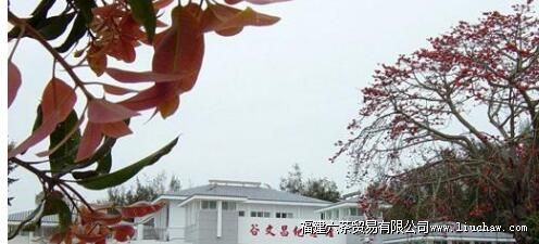 ���Ĳ������