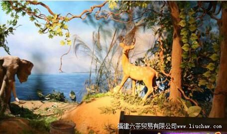 �й���̨Ե�����