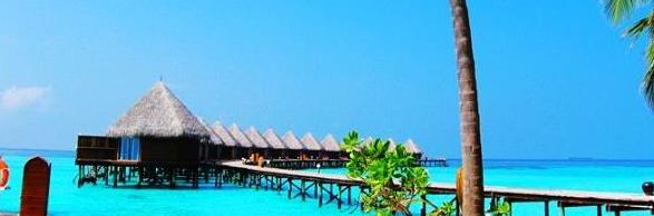 �������л���Ⱥ�������������ι������ˮ�ϱ����ȼ�ʤ�����ι���