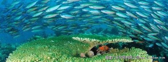 �������л���Ⱥ�������������ι��Ի��Ŀ�������ι���