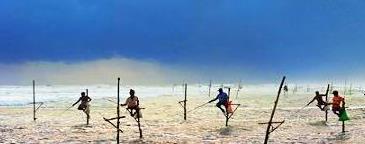 ˹���������������������ι����г��Ƽ����ι���