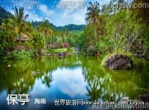 ����-��ͤ