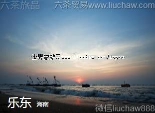 ����-�ֶ�