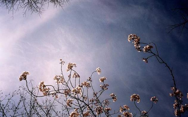 日本东京旅游攻略大全之必去地-上野旅游攻略