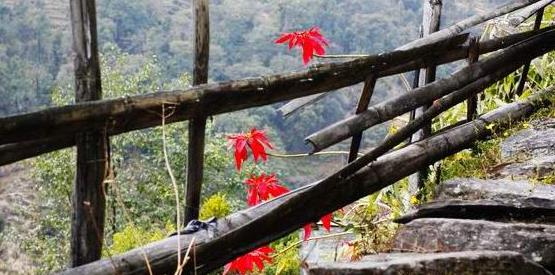 �Ჴ������ǧ��֮�����ι���֮��ǰ׼�����ι���