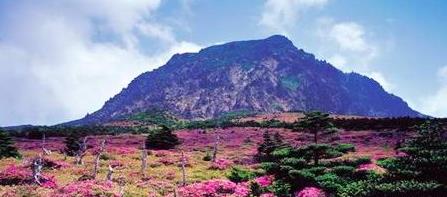 韩国旅行之梦幻济州岛景点济州岛世界自然遗产旅游攻略
