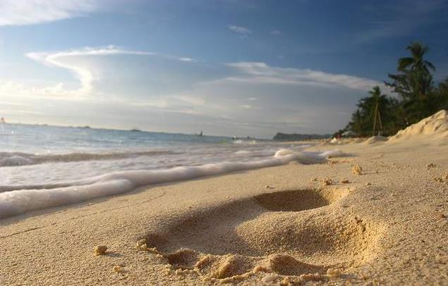 ���ɱ���̲��������ɫ��������ο����ι���