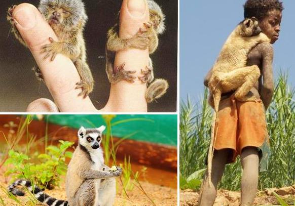 �������������˹����ʵ�е�ŵ�Ƿ���֮�������ο����ι���