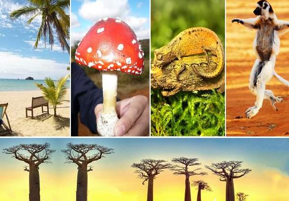 �������������˹����ʵ�е�ŵ�Ƿ���֮��ǰ׼���ο����ι���