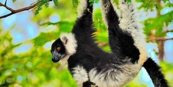 �������������˹����ʵ�е�ŵ�Ƿ���֮�г̺�ע��ο����ι���