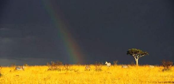 非洲旅行动物王国肯尼亚旅游攻略之行程推荐参考和提示旅游攻略