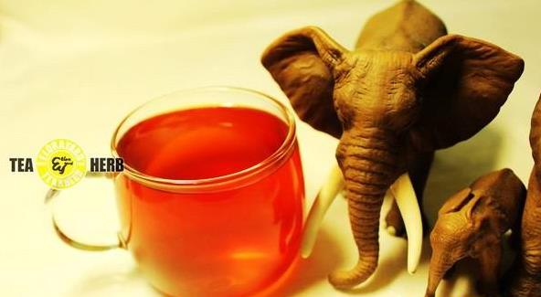 非洲旅行动物王国肯尼亚旅游攻略之特产及购物参考旅游攻略