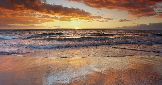 ����������ѡ����֮�����βο����ι���