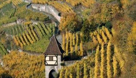 欧洲旅行玩味德意志饮酒作乐的慢生活旅游攻略