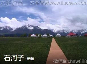 新疆-石河子