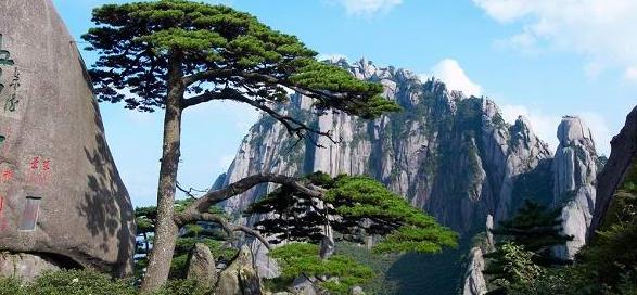 ���������ƺ�����ɽ���ι��Ծ�����Ʊһ�����ι���