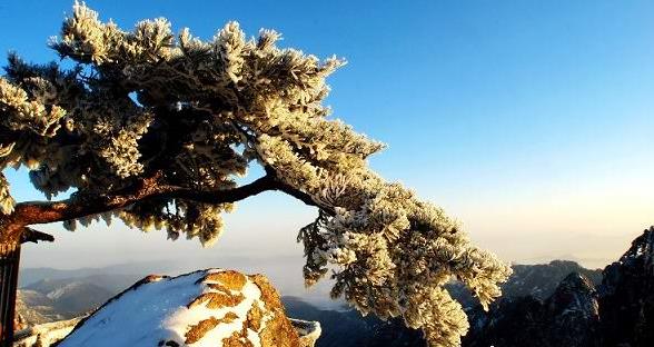 ���������ƺ�����ɽ���ι��Ծ���������������ι���