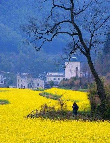 �������л�����������ι���֮�г̲ο����ι���