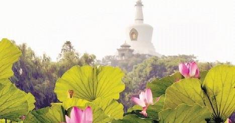 �����ͺɻ���ȥ��ȫ����