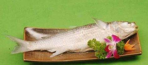 �㶫���л���֮����������֮�ز��ο�