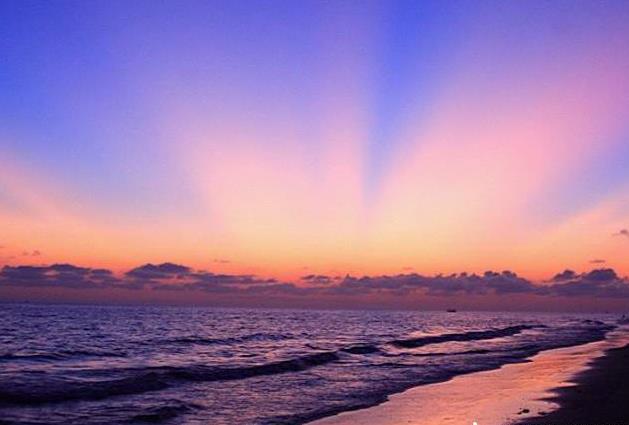 �������η�ƭ���ϼ�׼������������