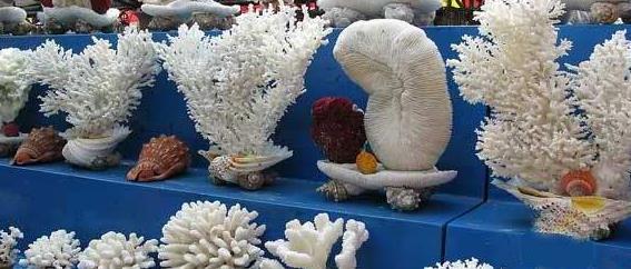 �ȼٵĺõط���Ѻ�̲�������ι��Թ���ο����ι���