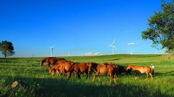 河北旅行张家口其他旅游景区参考