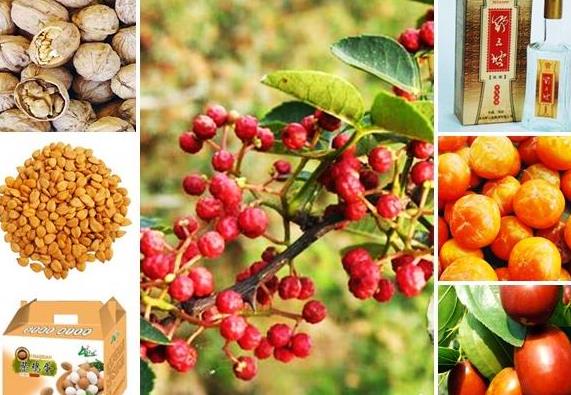 �ӱ�����ҰɽҰζҰ�������ι����ز�����ο�