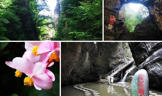 �ӱ�����ҰɽҰζҰ�������ι��Ծ���ο�