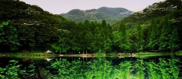 九朝古都国色天香地都洛阳旅游攻略值得去的景点