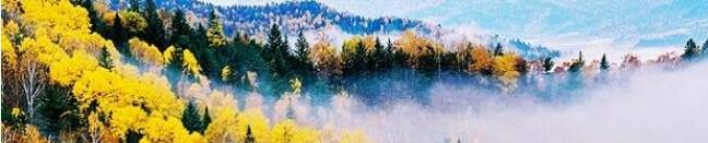 黑龙江旅行醉人林都伊春旅游攻略行程推荐