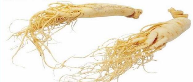 黑龙江旅行醉人林都伊春旅游攻略特产和购物参考