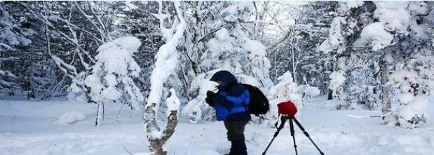 黑龙江旅行醉人林都伊春旅游攻略节日和提示