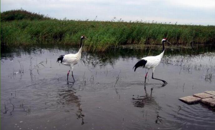 ����֮��--�������������Ȼ������